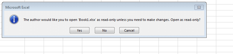 excel file read only