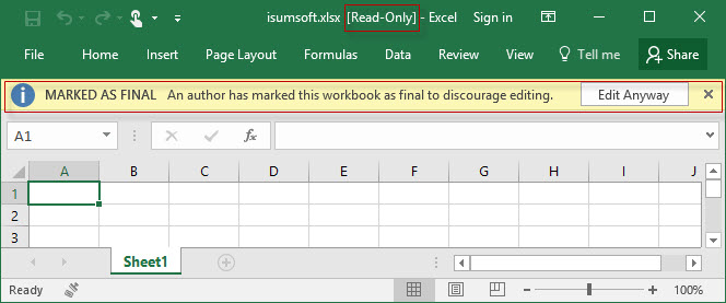 excel file read only
